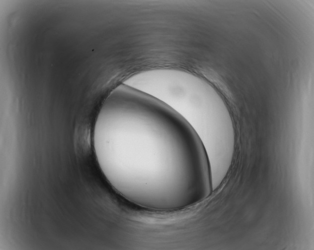 X0000088360021200705220742