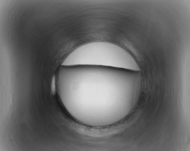X0000088360022200705220742