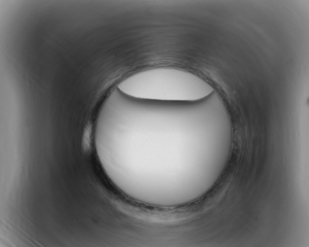 X0000088360024200705220742