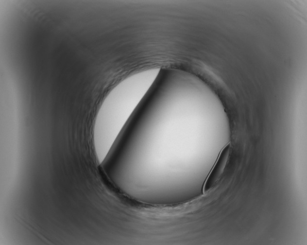 X0000088360025200705220742