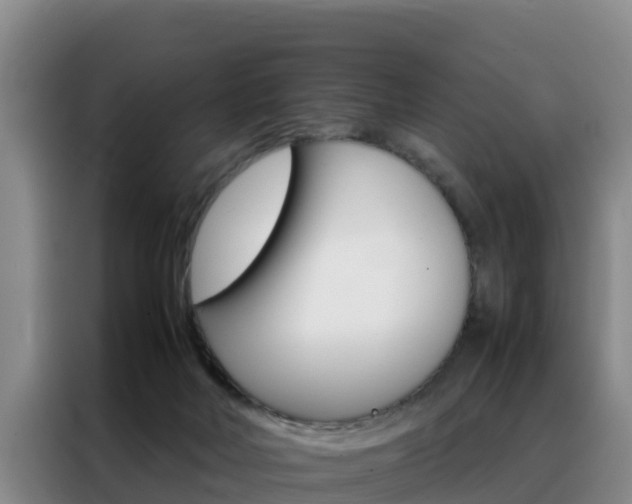 X0000088360026200705220742