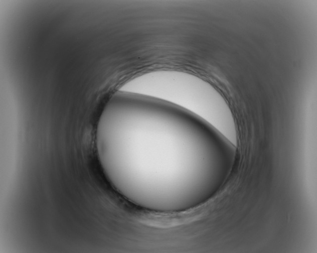 X0000088360029200705220742