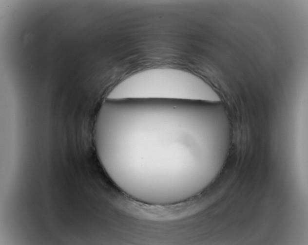 X0000088360030200705220742