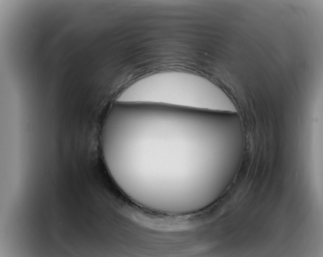 X0000088360032200705220742