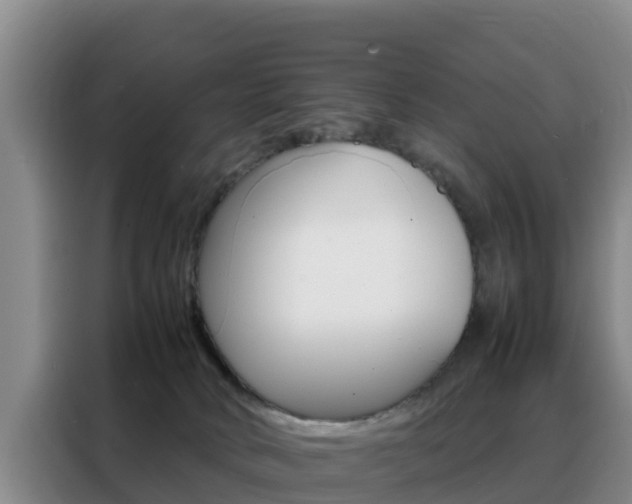 X0000088360034200705220742