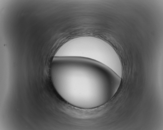 X0000088360035200705220742