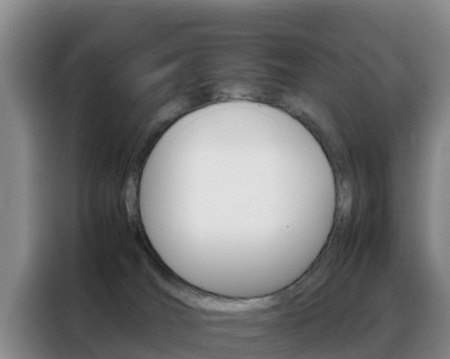 X0000088360036200705220742