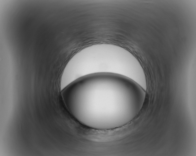 X0000088360037200705220742