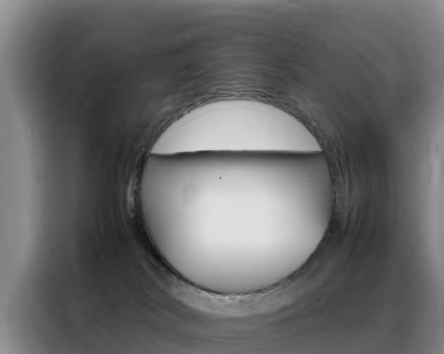 X0000088360038200705220742