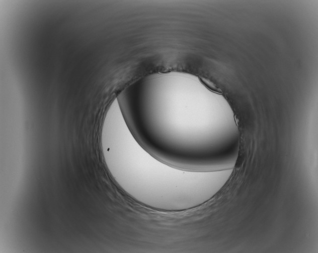 X0000088360039200705220742