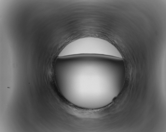 X0000088360040200705220742