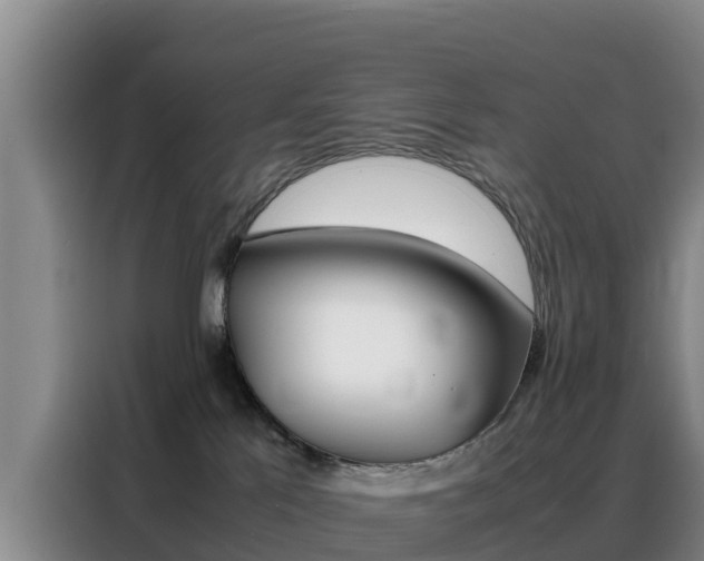 X0000088360041200705220742