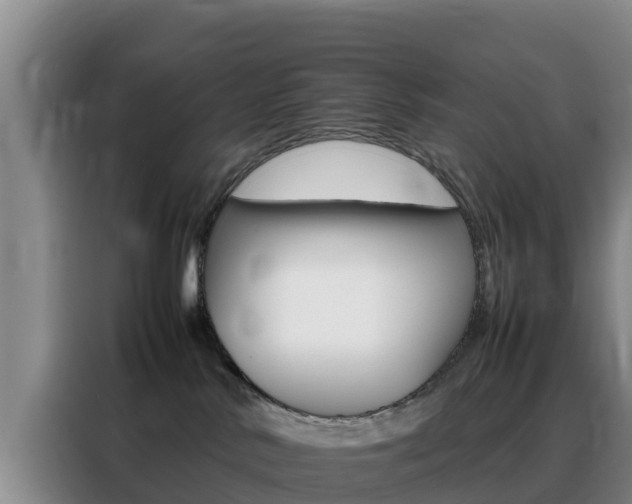 X0000088360042200705220742