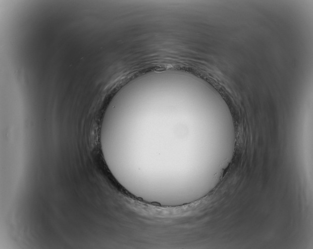 X0000088360043200705220742