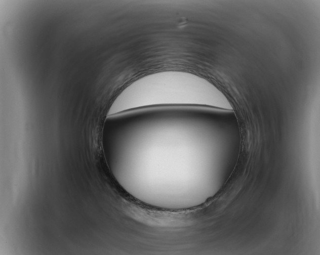 X0000088360044200705220742