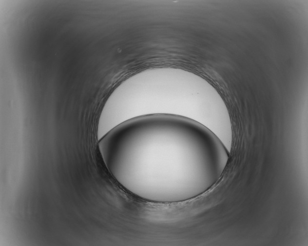 X0000088360045200705220742