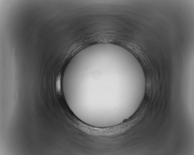 X0000088360046200705220742