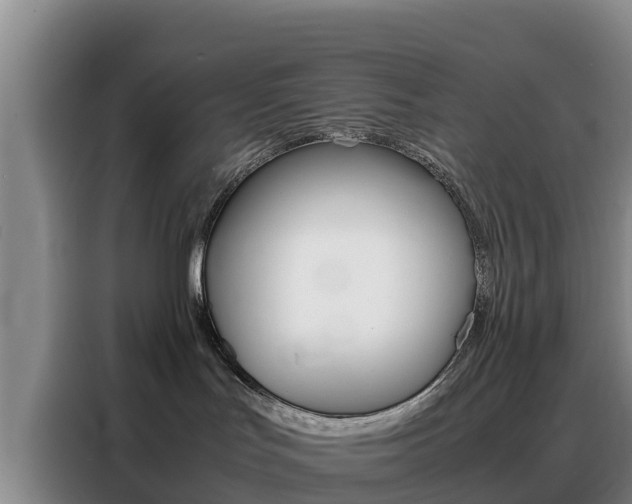 X0000088360047200705220742