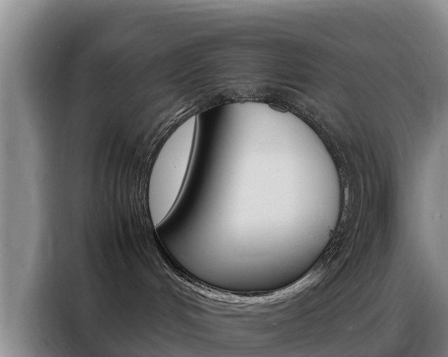 X0000088360048200705220742