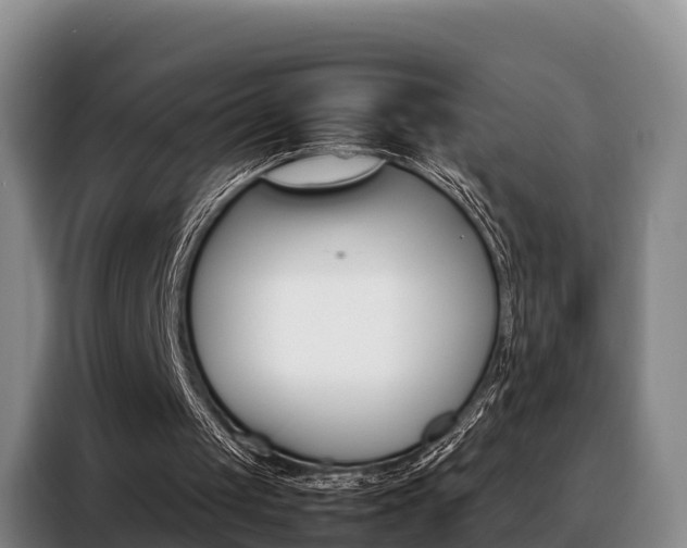 X0000088360049200705220741