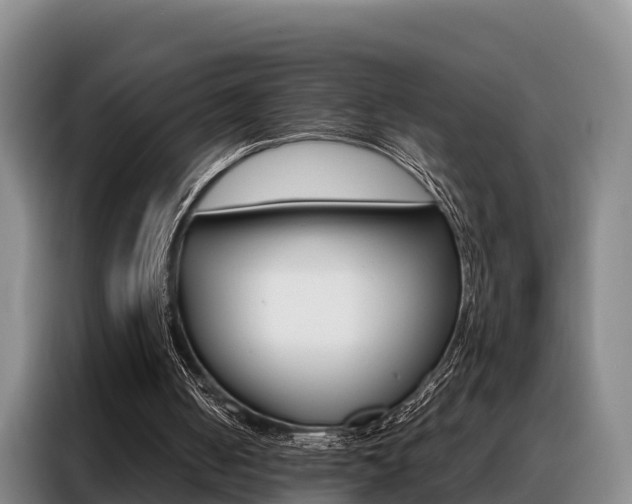 X0000088360050200705220741