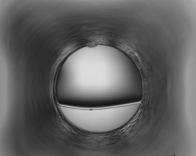 X0000088360051200705220741