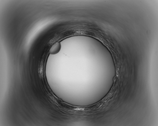 X0000088360052200705220741