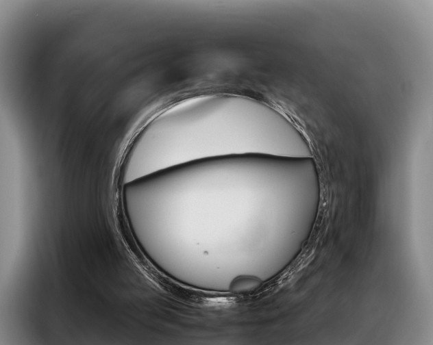 X0000088360053200705220741