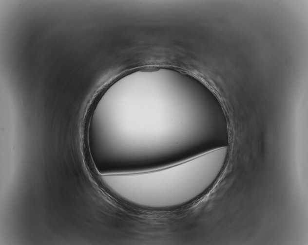 X0000088360055200705220741