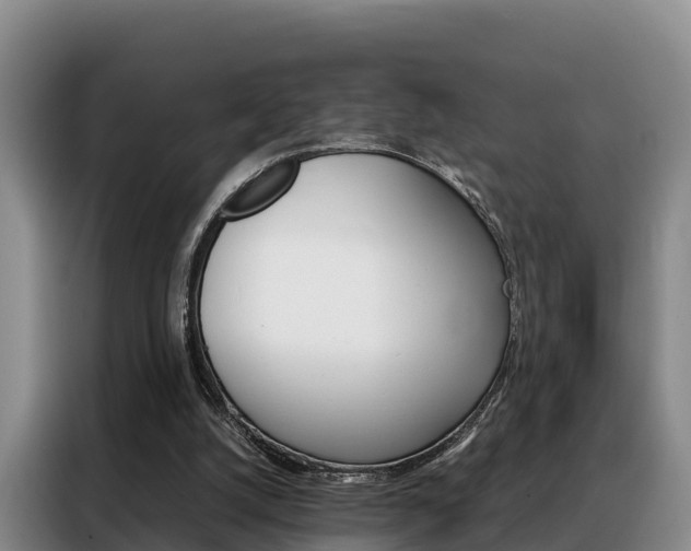 X0000088360056200705220741