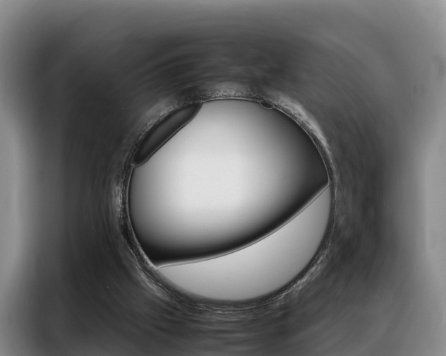 X0000088360057200705220741