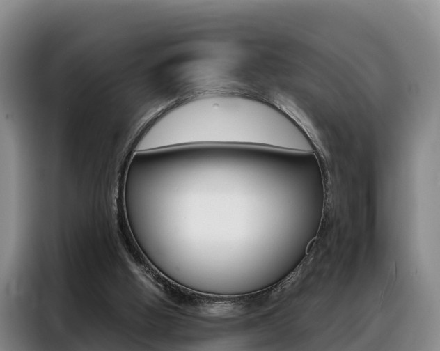 X0000088360058200705220741