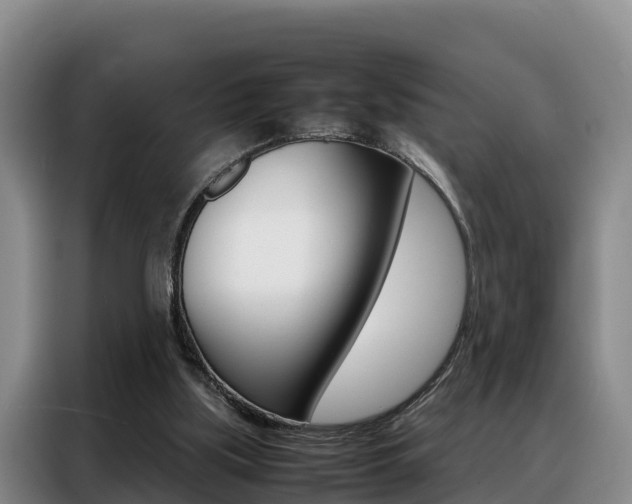 X0000088360059200705220741