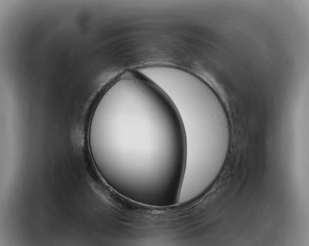 X0000088360060200705220741
