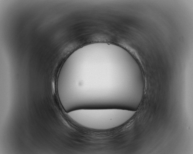 X0000088360061200705220741