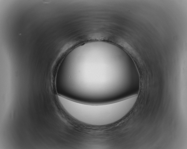X0000088360064200705220741