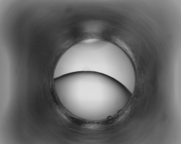 X0000088360065200705220741