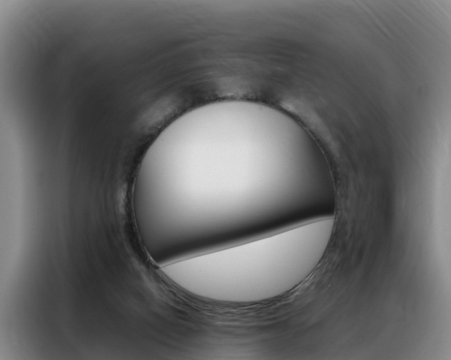 X0000088360066200705220741