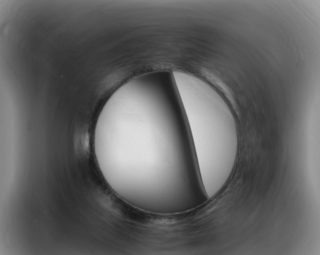 X0000088360067200705220741