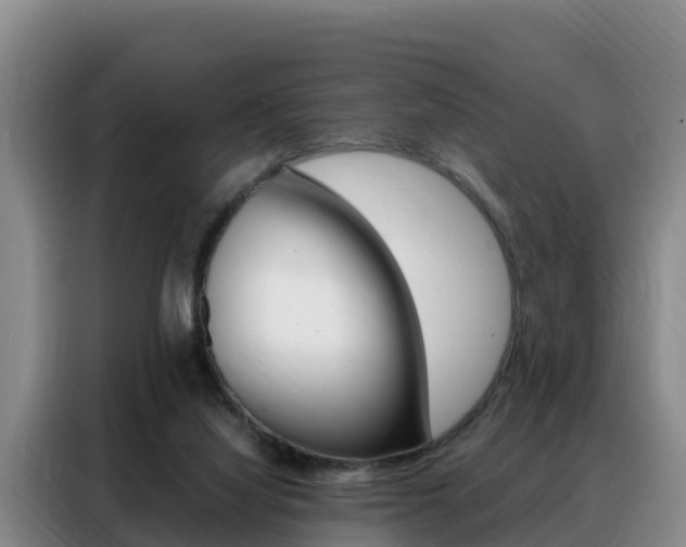 X0000088360068200705220741