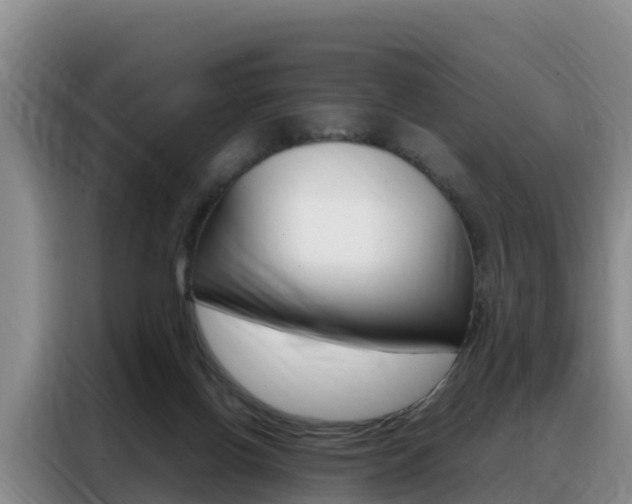 X0000088360070200705220741