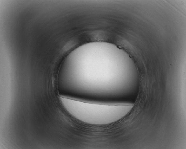 X0000088360071200705220741