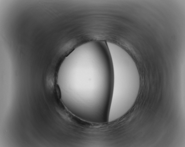 X0000088360072200705220741