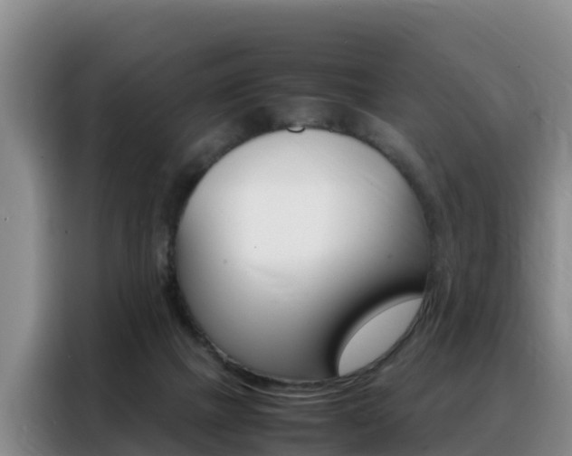 X0000088360073200705220741