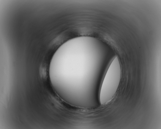 X0000088360074200705220741
