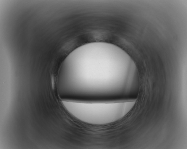 X0000088360075200705220741