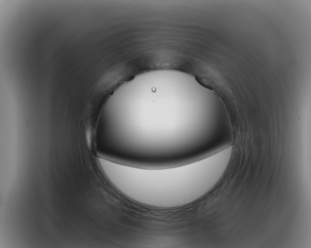 X0000088360076200705220741