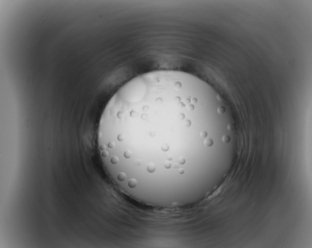 X0000088360078200705220741
