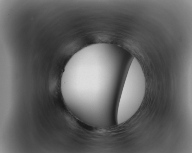 X0000088360079200705220741