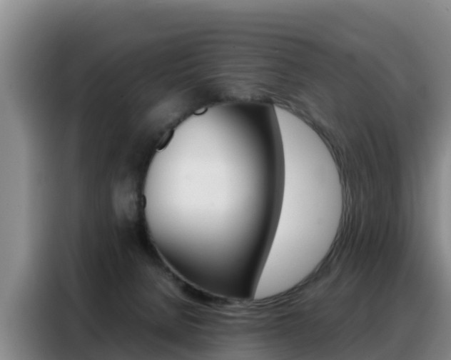 X0000088360080200705220741